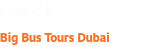 Dubai Big Bus Tours Dubai